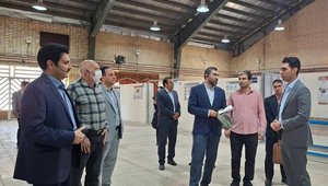 بازدید یک