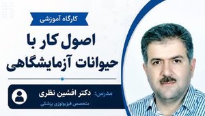 کارگاه آموزشی